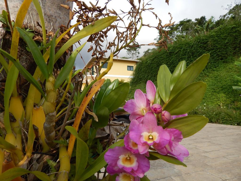 Quinta Do Alto Inn 3*